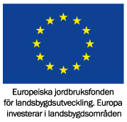 Logotyp EU